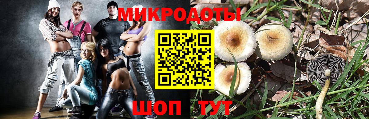 Североморск  Галлюциногенные грибы мухоморы  Вход с VPN 